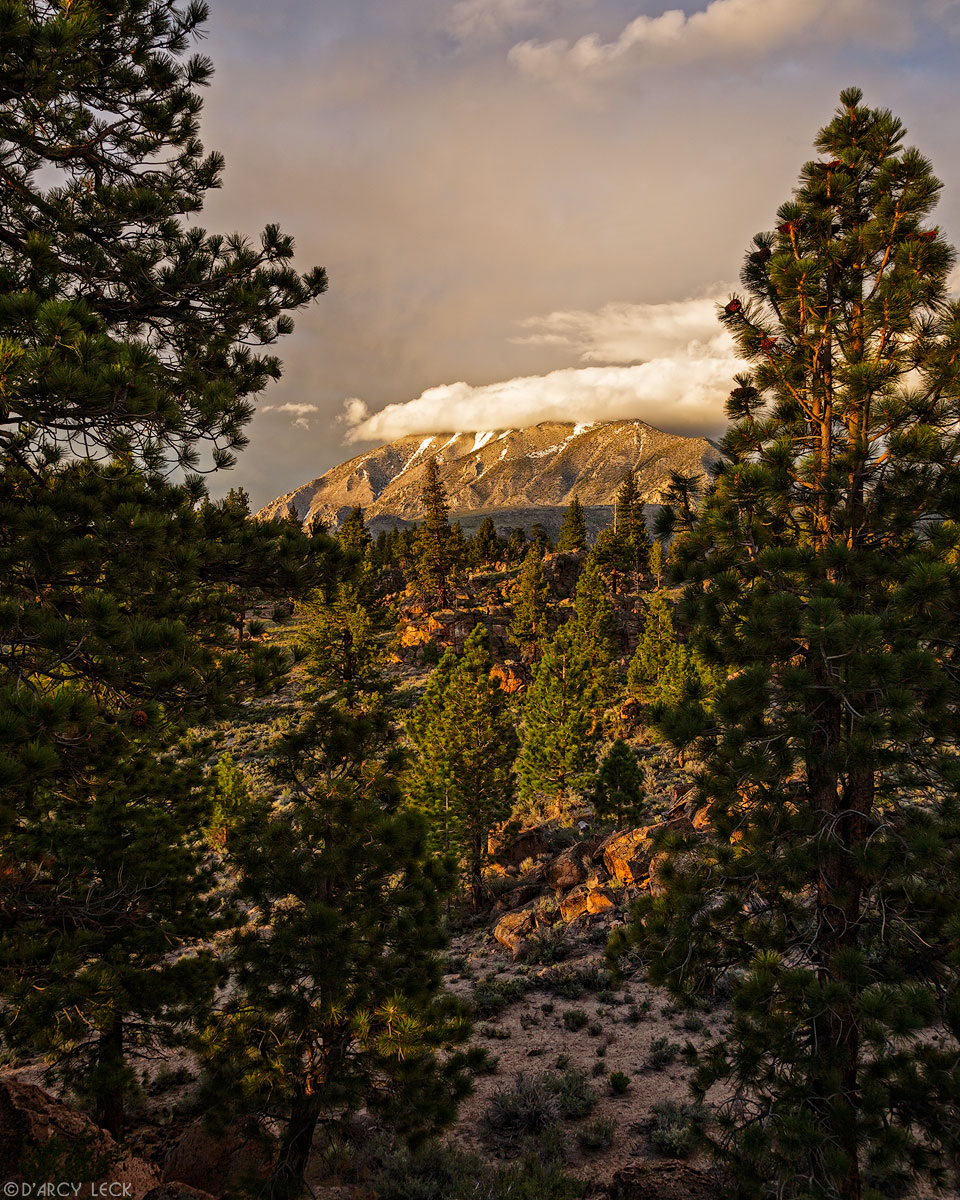 Clearing storm clouds enshroud Wheeler Ridge and Round Valley Peak at sunrise, California