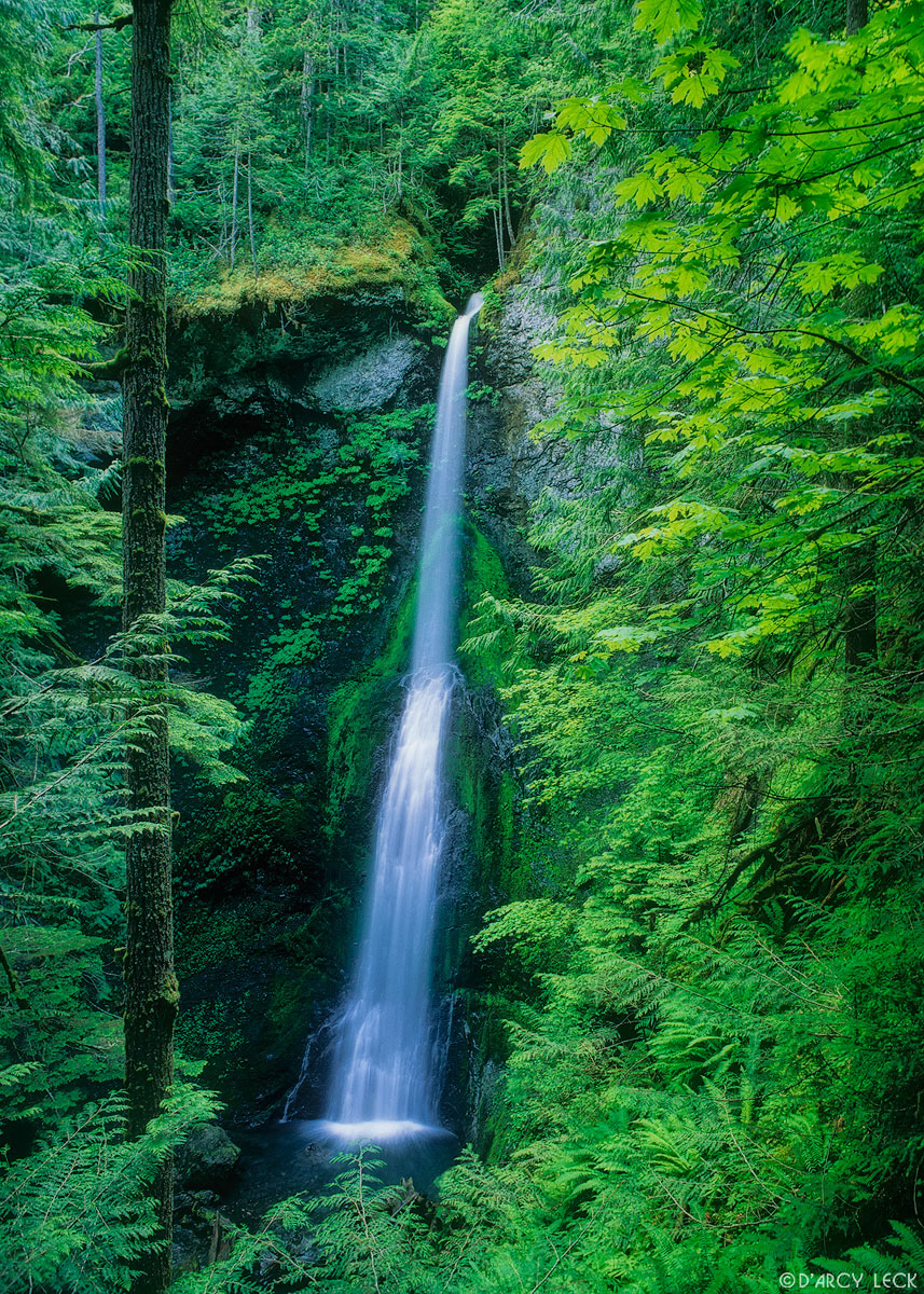 Marymere Falls, Washington