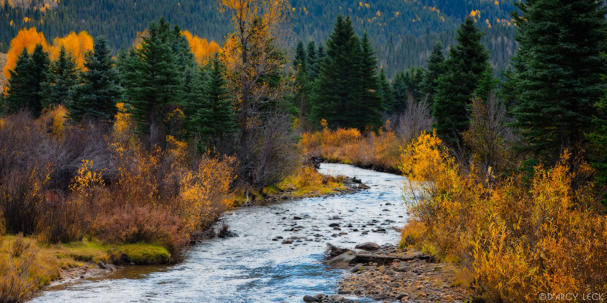 Park Creek winds through forested valley in autumn, Rio Grande National Forest, Colorado