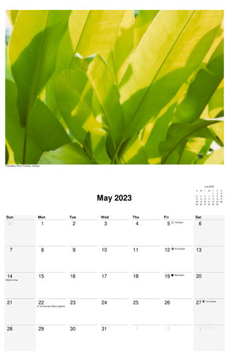 May 2023 scenic calendar by D'Arcy Leck