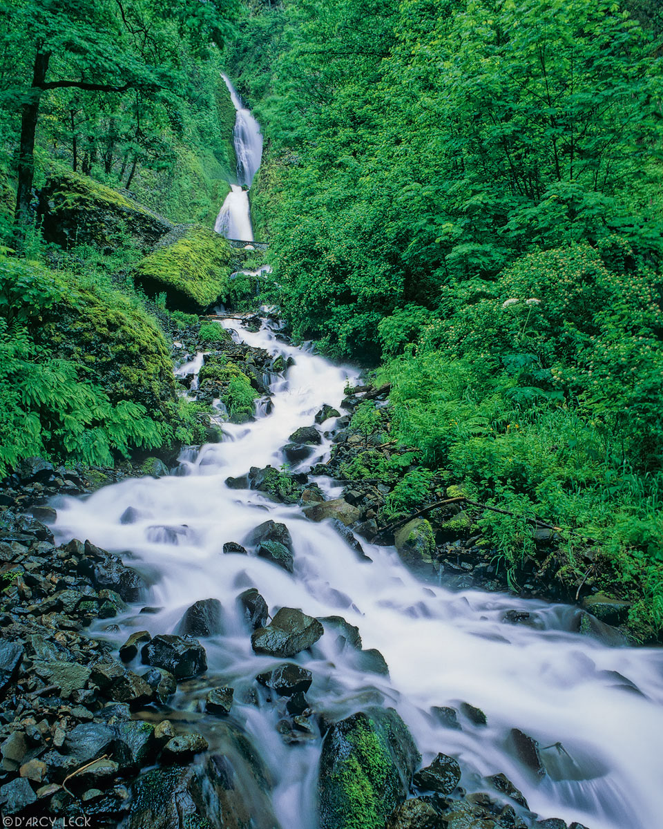 Wahkeena Falls and Wahkeena Creek along the Columbia River Gorge Oregon