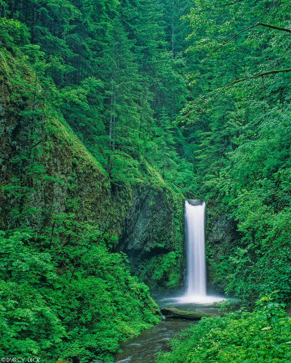 Waterfall on Multnomah Creek along the Columbia River Gorge Oregon