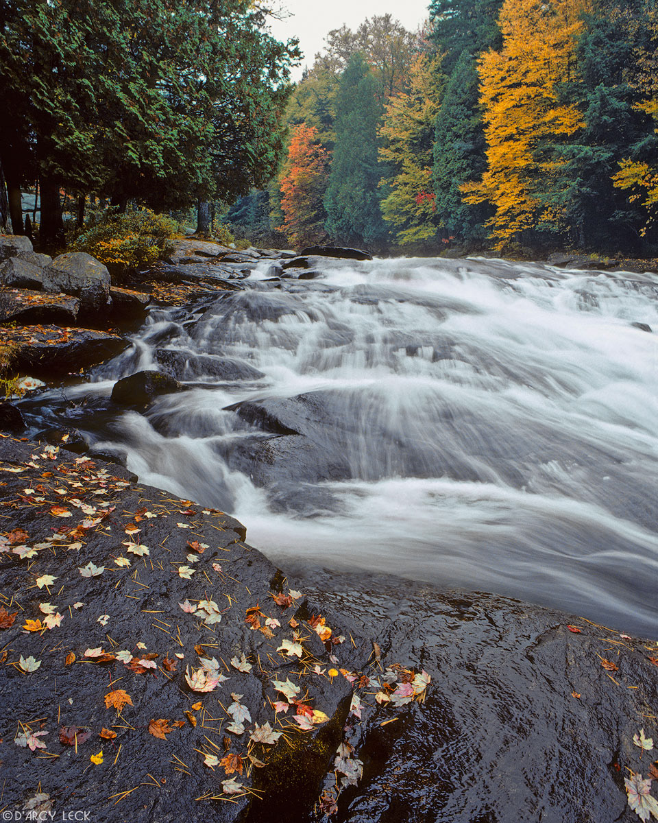 Water of the Raquette River cascades over rocks through forest turning autumn colors near Buttermilk Falls, Adirondack Park, New York