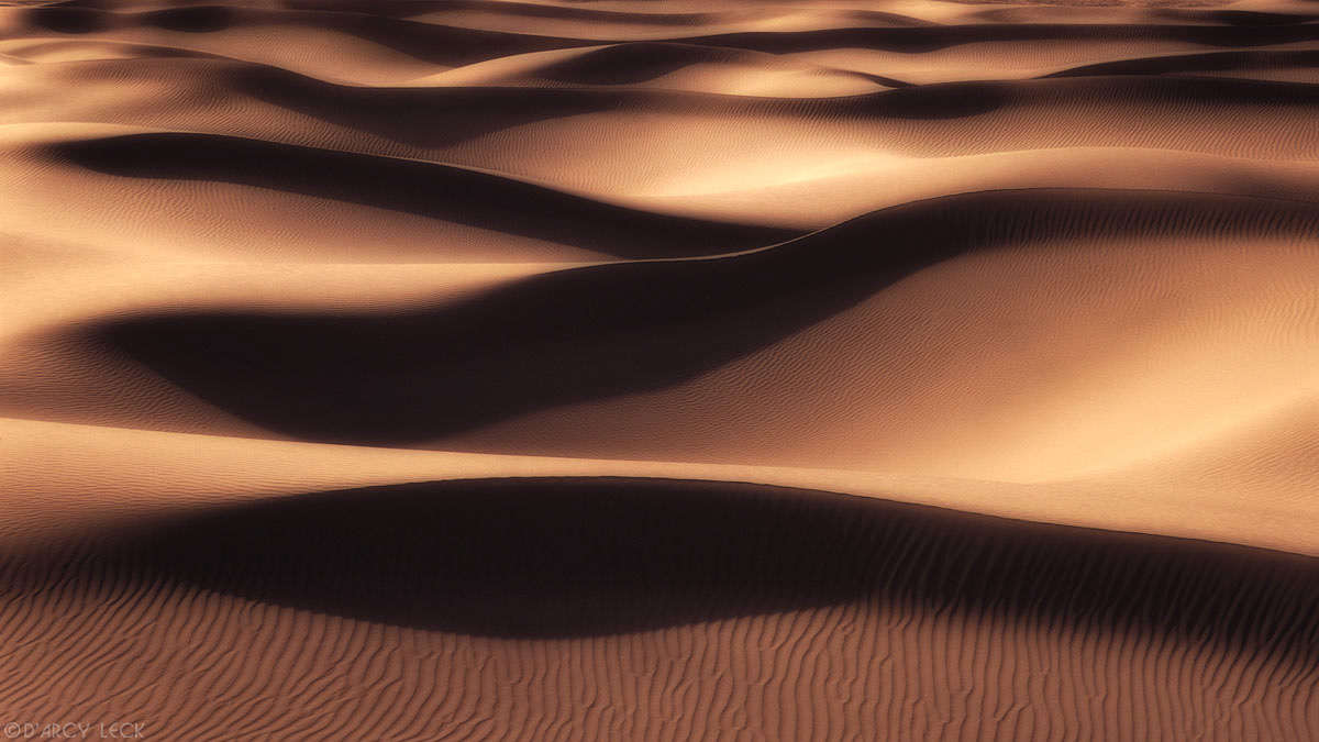Sand dunes undulate in Death Valley National Park, California