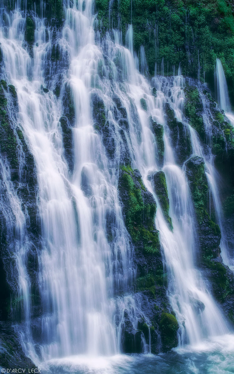 Water of Burney Falls streams down a verdant cliff at McArthur-Burney Falls Memorial Park, California