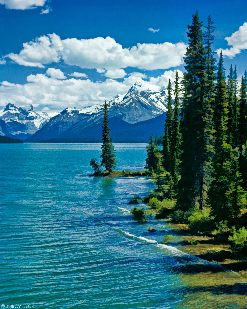 Tree-lined shore of Maligne Lake, Jasper National Park