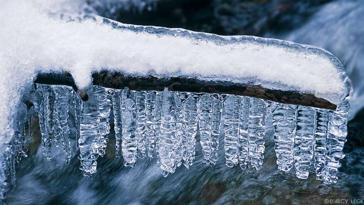 Icicles on branch above stream after new snow fall, Santa Fe National Forest, New Mexico, USA