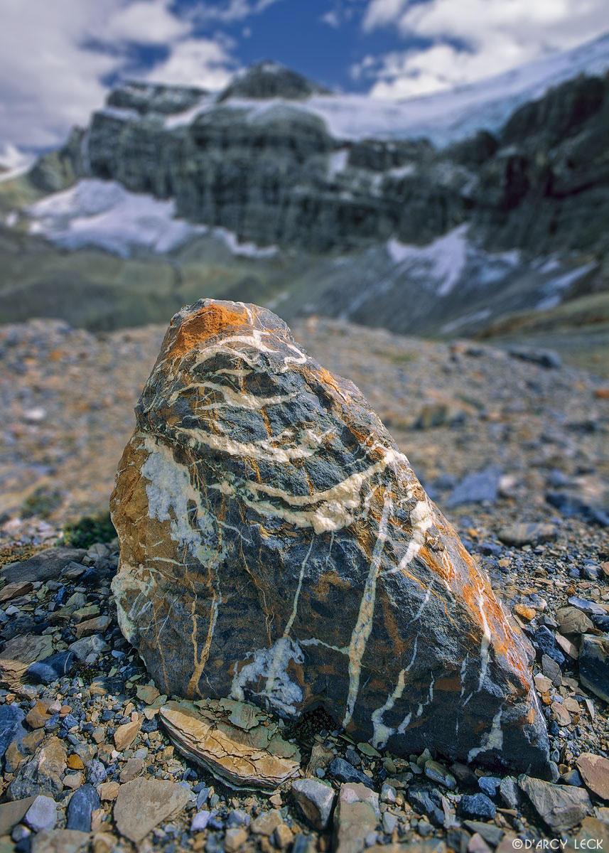 Striated Rock in glacial plain with Crowfoot Mountain beyond, Banff National Park, Canada