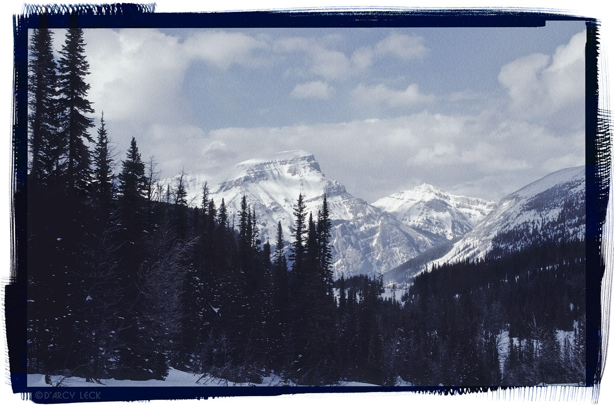 Forest and snowy Canadian Rocky Mountains in winter, Banff National Park, Canada