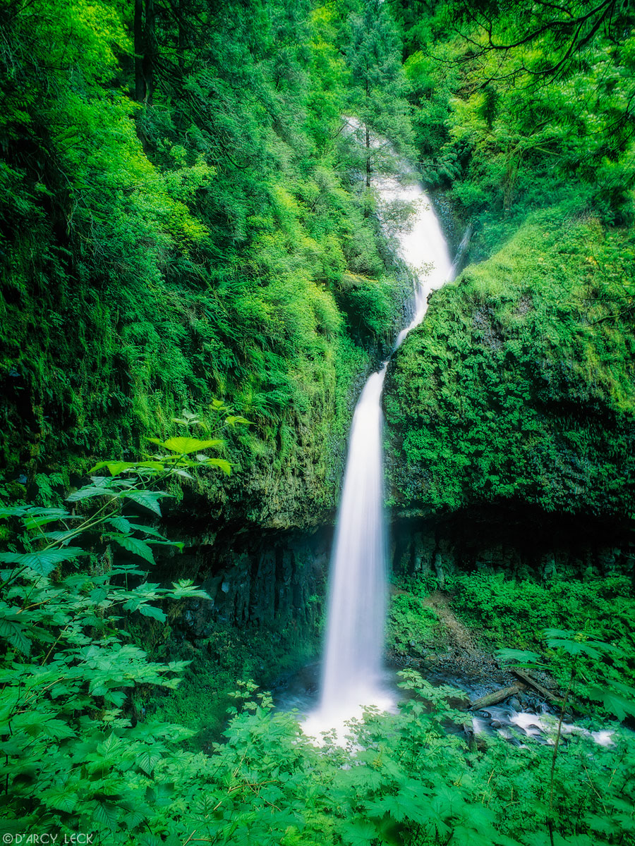 Upper Lataurell Falls along the Columbia River Gorge Oregon