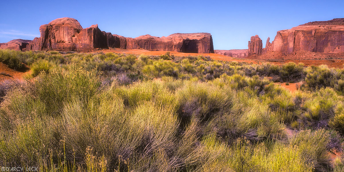 Sandstone buttes and desert flora including Chamisa in Monument Valley, Arizona