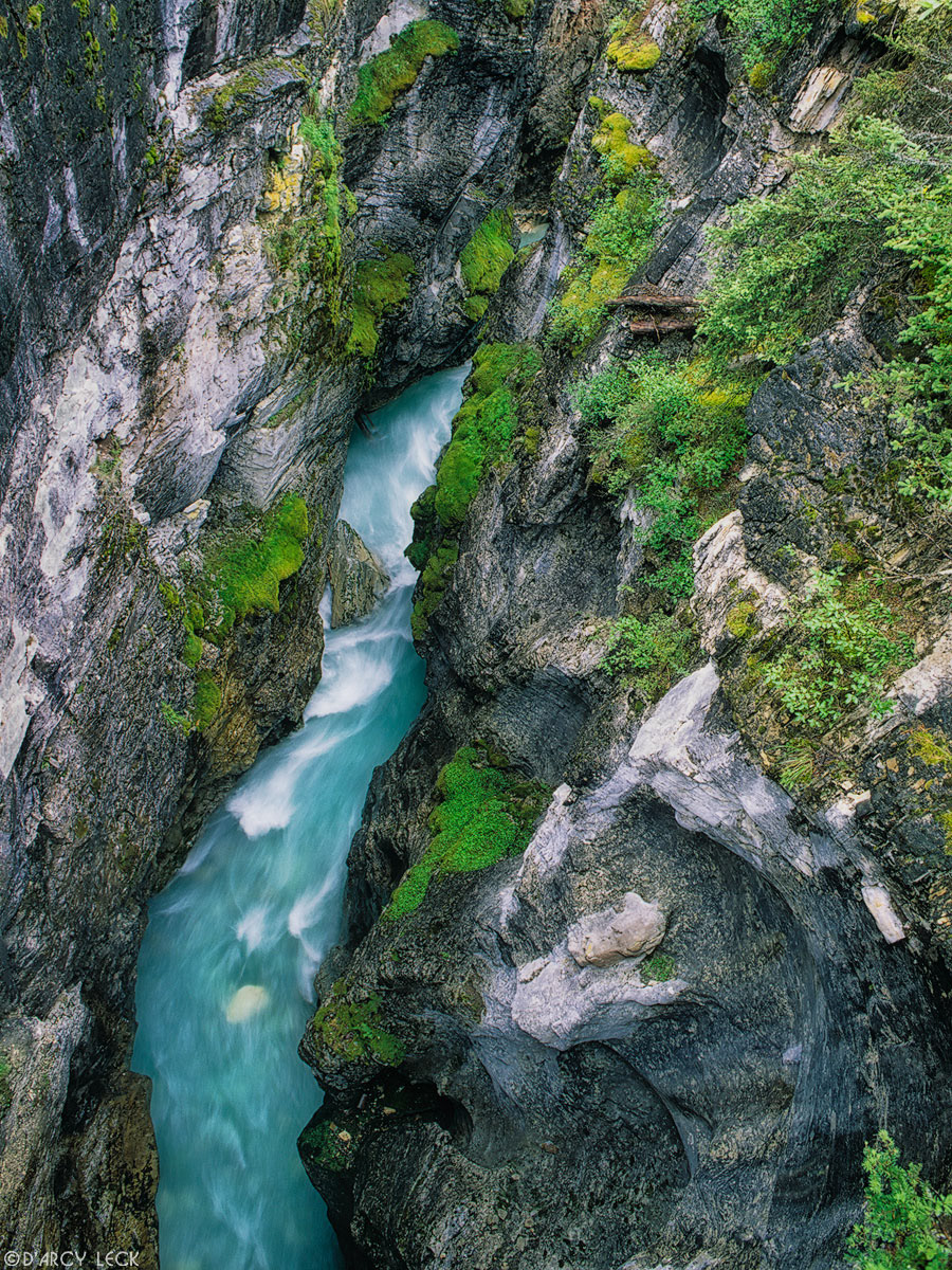 Tokumm Creek cuts through Marble Canyon, Kootenay National Park, Canada