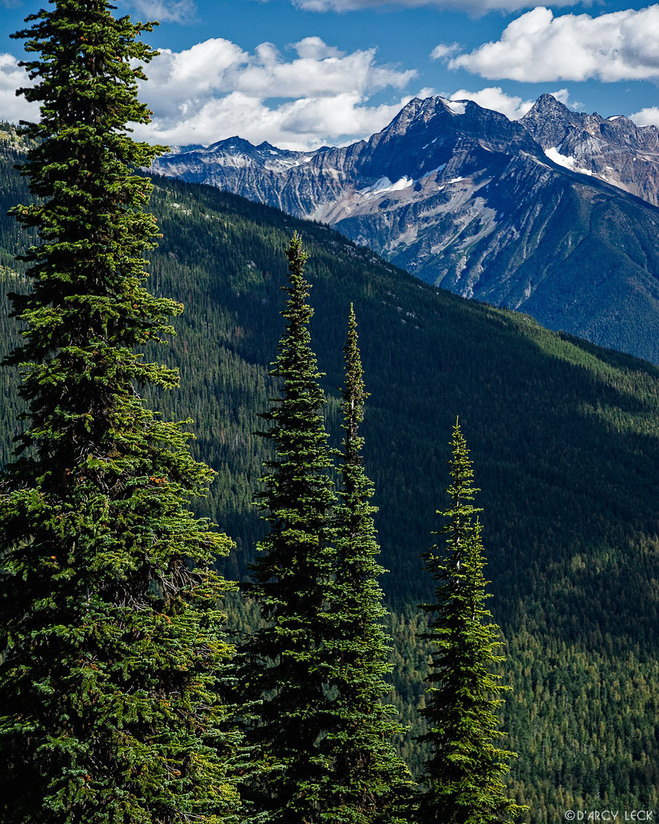 The mountains of the Duncan Ranges as viewed from Mount Revelstoke, Mount Revelstoke National Park, British Columbia, Canada