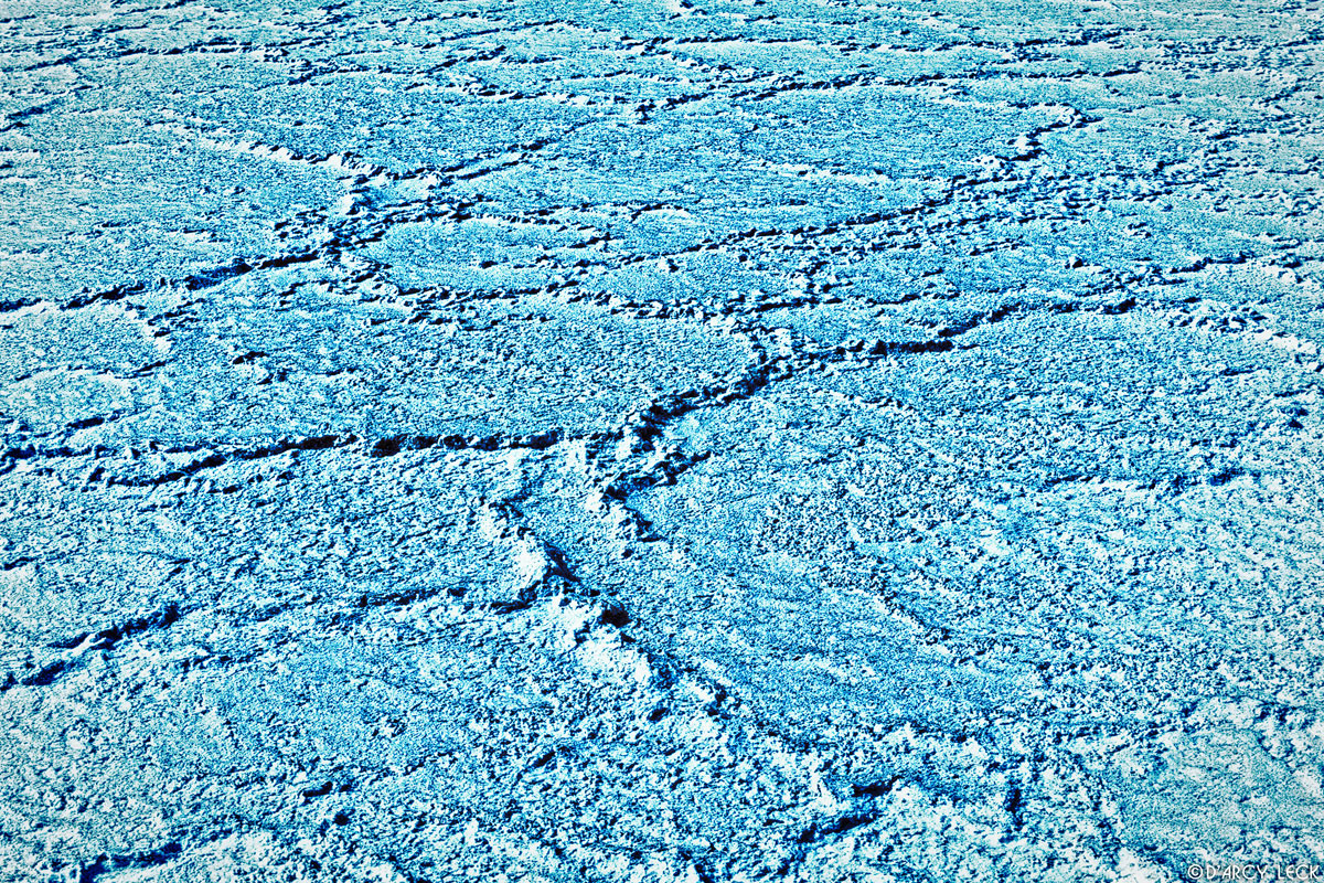 Dry, cracked salt bed, Great Salt Lake Desert, Utah