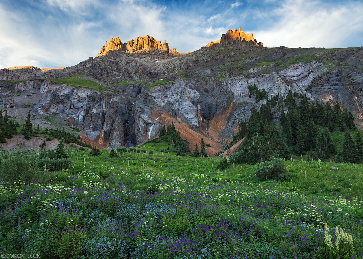 A field of wildflowers blossoms in late July in Yankee Boy Basin below Potosi Peak catching the last rays of sunset, Colorado