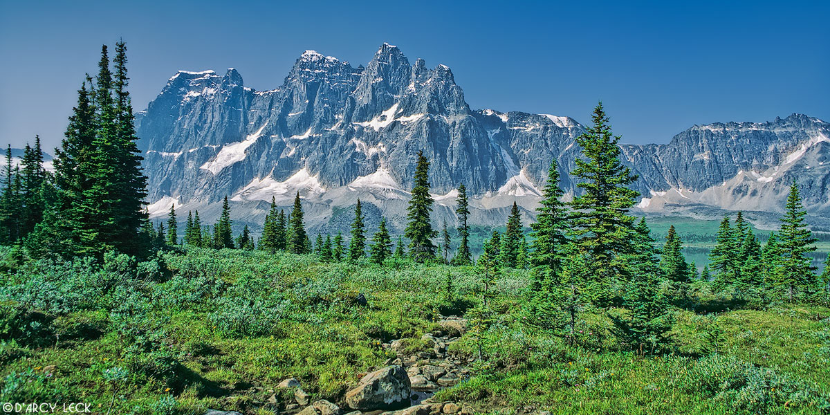 Meadow and The Ramparts, Jasper National Park, Canada