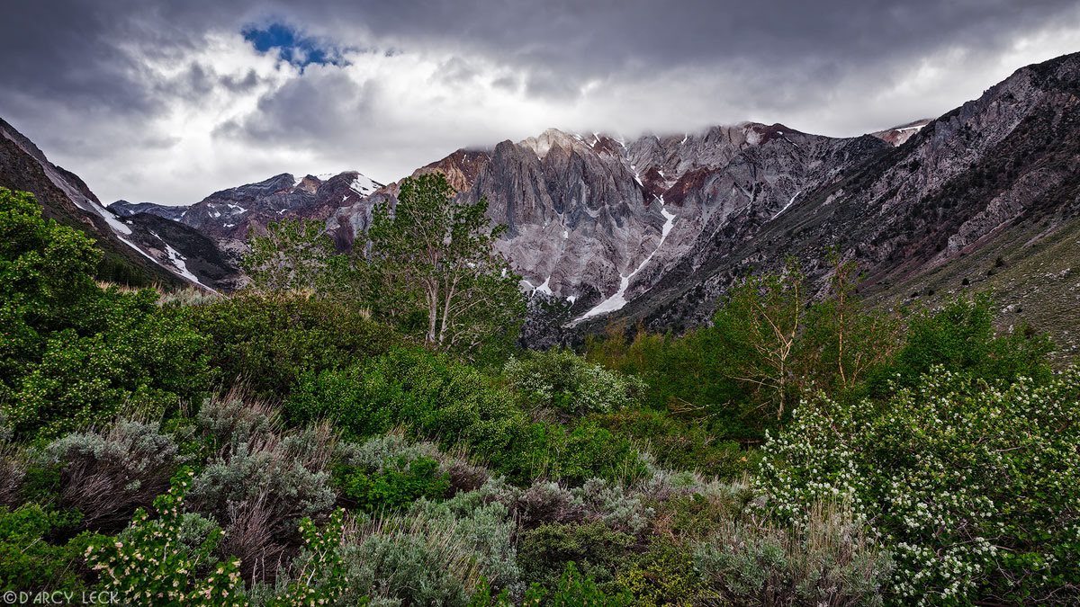 Trees and bushes green up in late Spring along the shore of Convict Lake with Laurel mountain in the distance, California