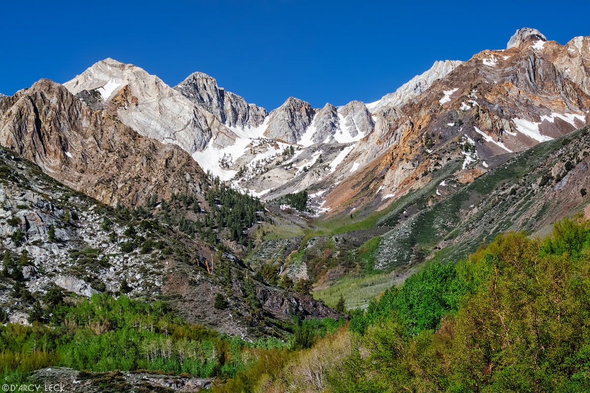 Late Spring foliage greens McGee Creek Canyon with Mount Aggie and Mount Baldwin rising in distance, California
