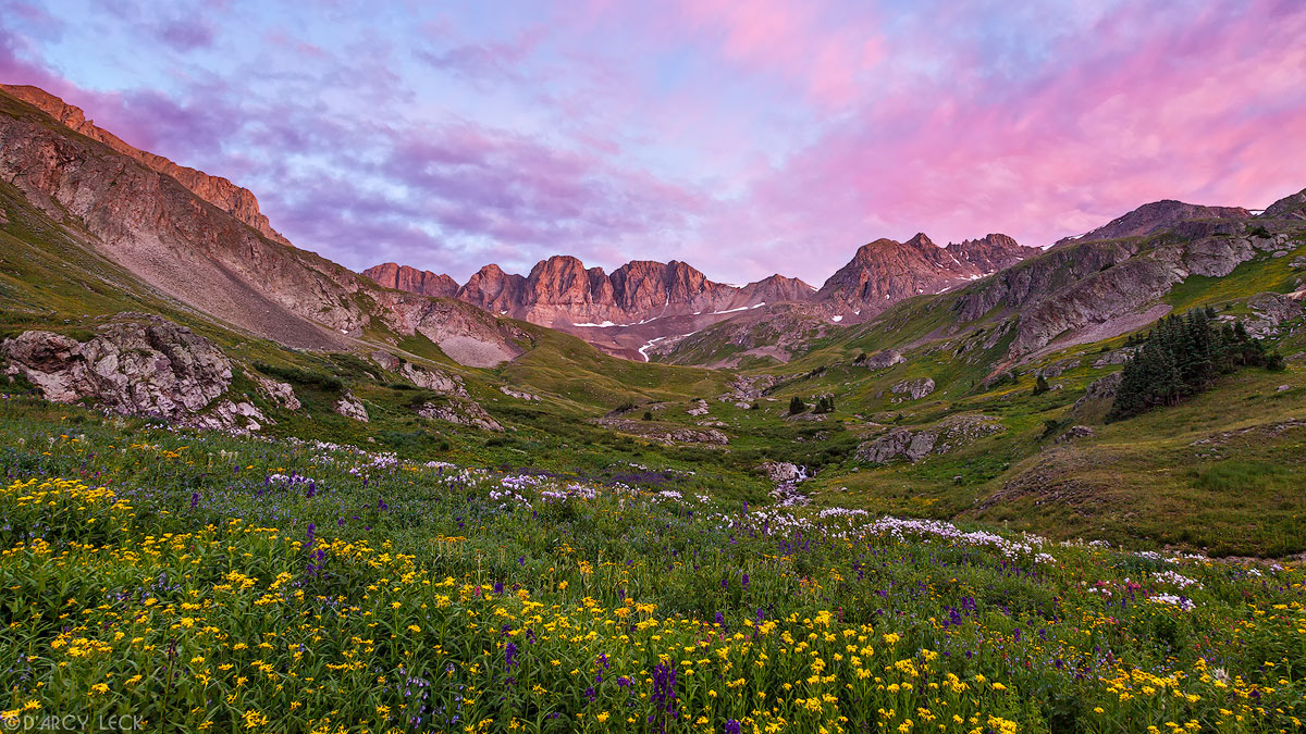Alpine field of wildflowers blossom in American Basin under a fiery sunset sky in July, Colorado