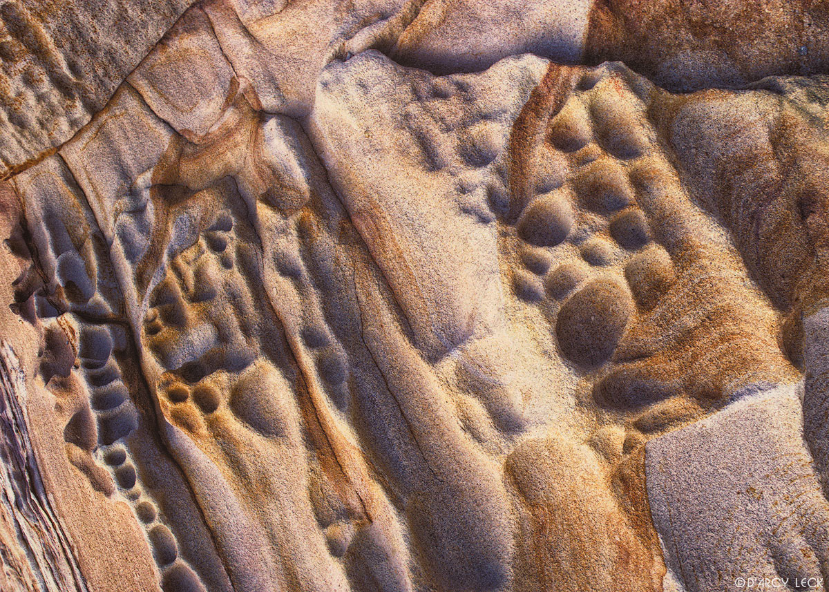 Surf polished sandstone, Point Reyes National Seashore