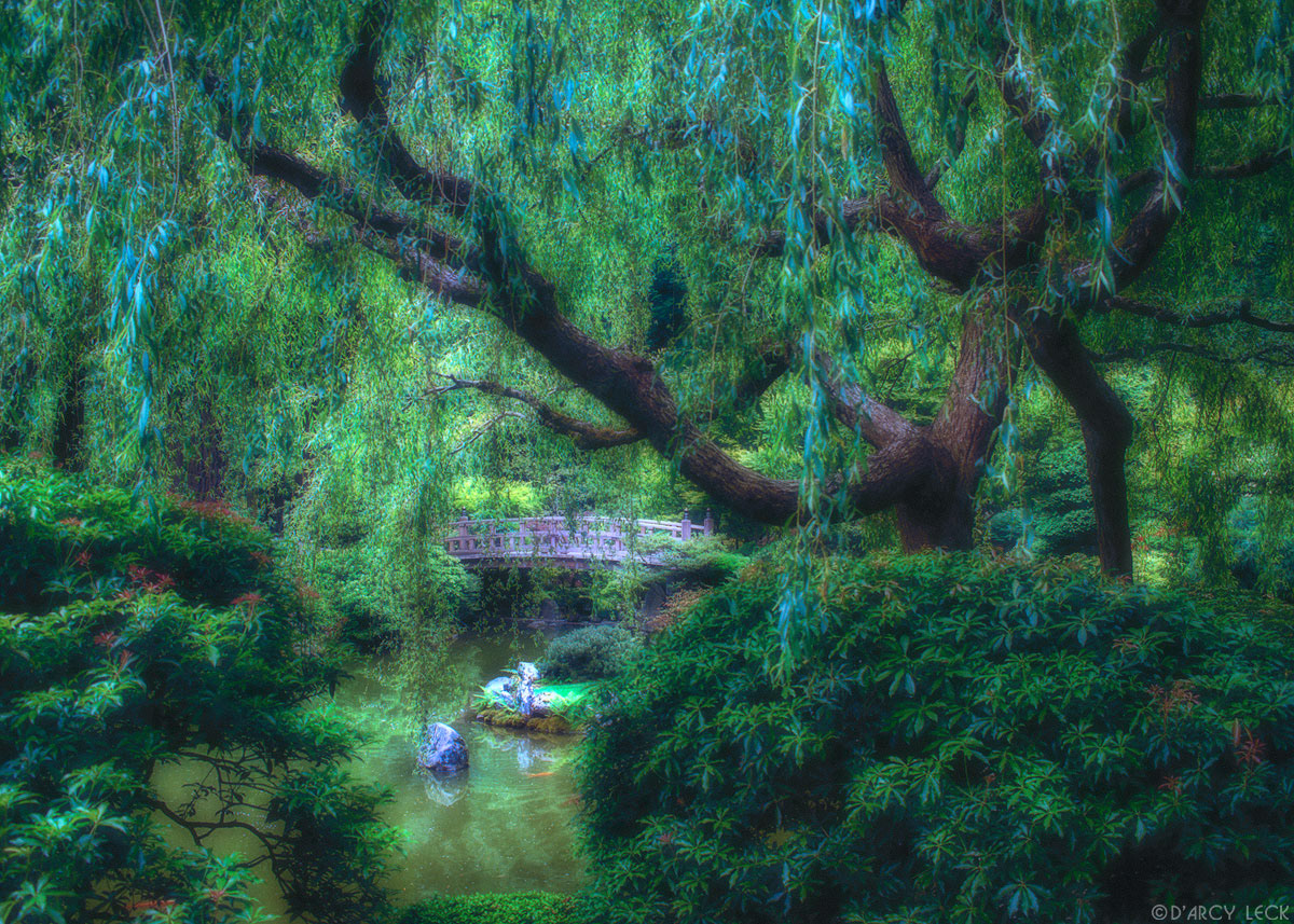 Willow tree and bridge along a pond in the verdant Japanese Garden at Washington Park in Portland, Oregon