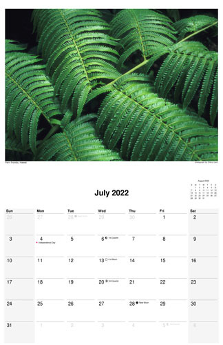 Nature Calendar, July 2022 by photographer D'Arcy Leck