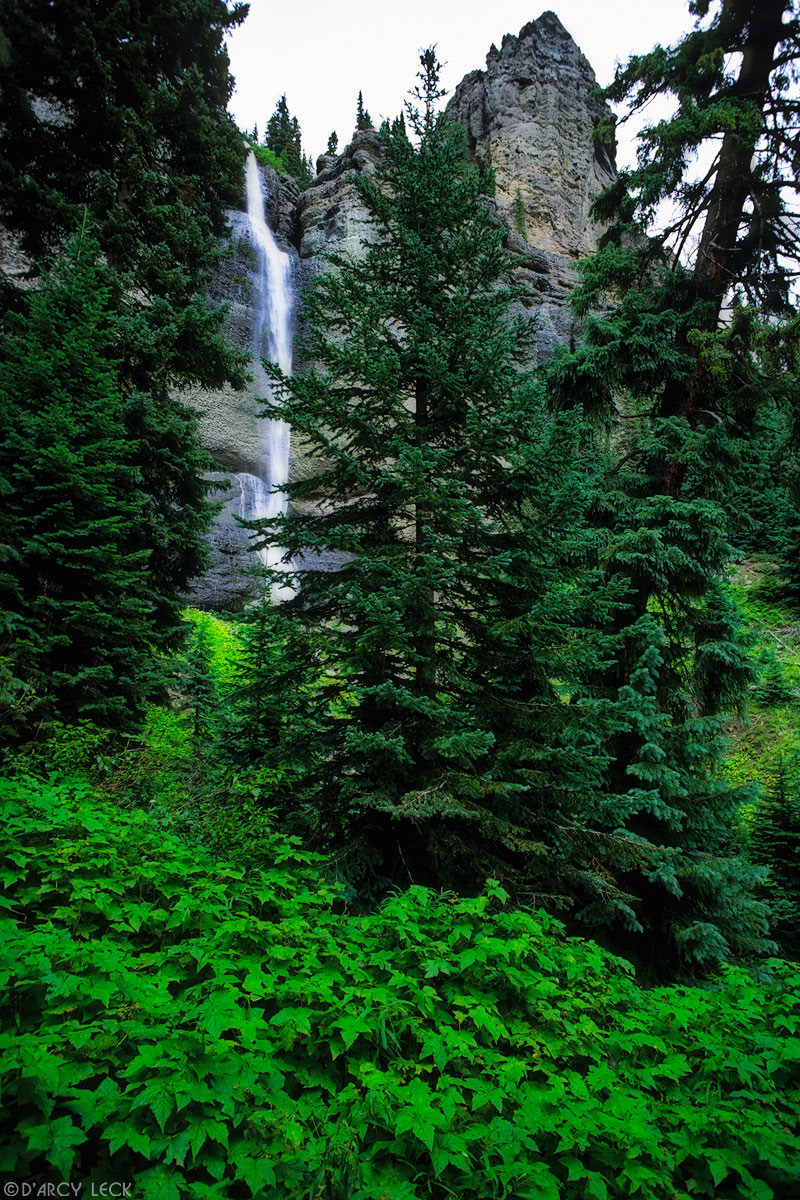 Fourmile Falls plunges down cliff face in the Weminuche Wilderness of the San Juan Mountains, Colorado, USA