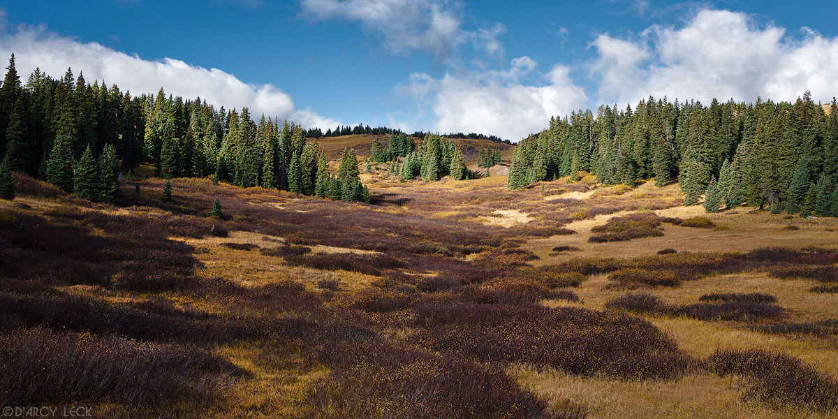 Pine trees line a mountain meadow in autumn in the San Juan Mountains of southwestern Colorado