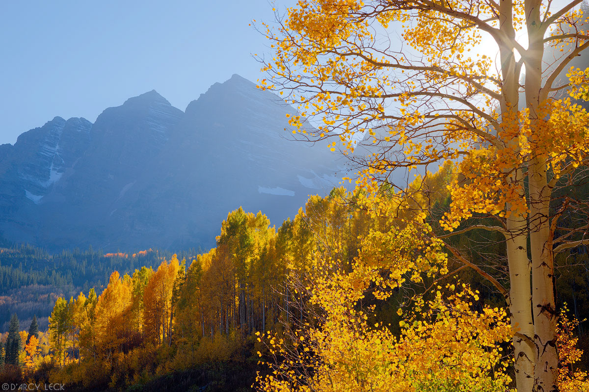 Sunburst rays through aspen trees with Maroon Bells in distance, Colorado