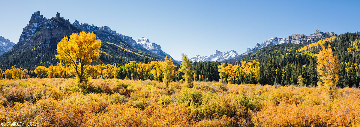 Forest meadow in early Autumn at the confluence of the East Fork and Middle Fork of the Cimarron River, Colorado