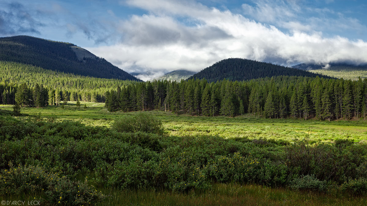 Forest and marsh along East Willow Creek with summer morning clouds clearing from mountains in Gunnison National Forest, Colorado