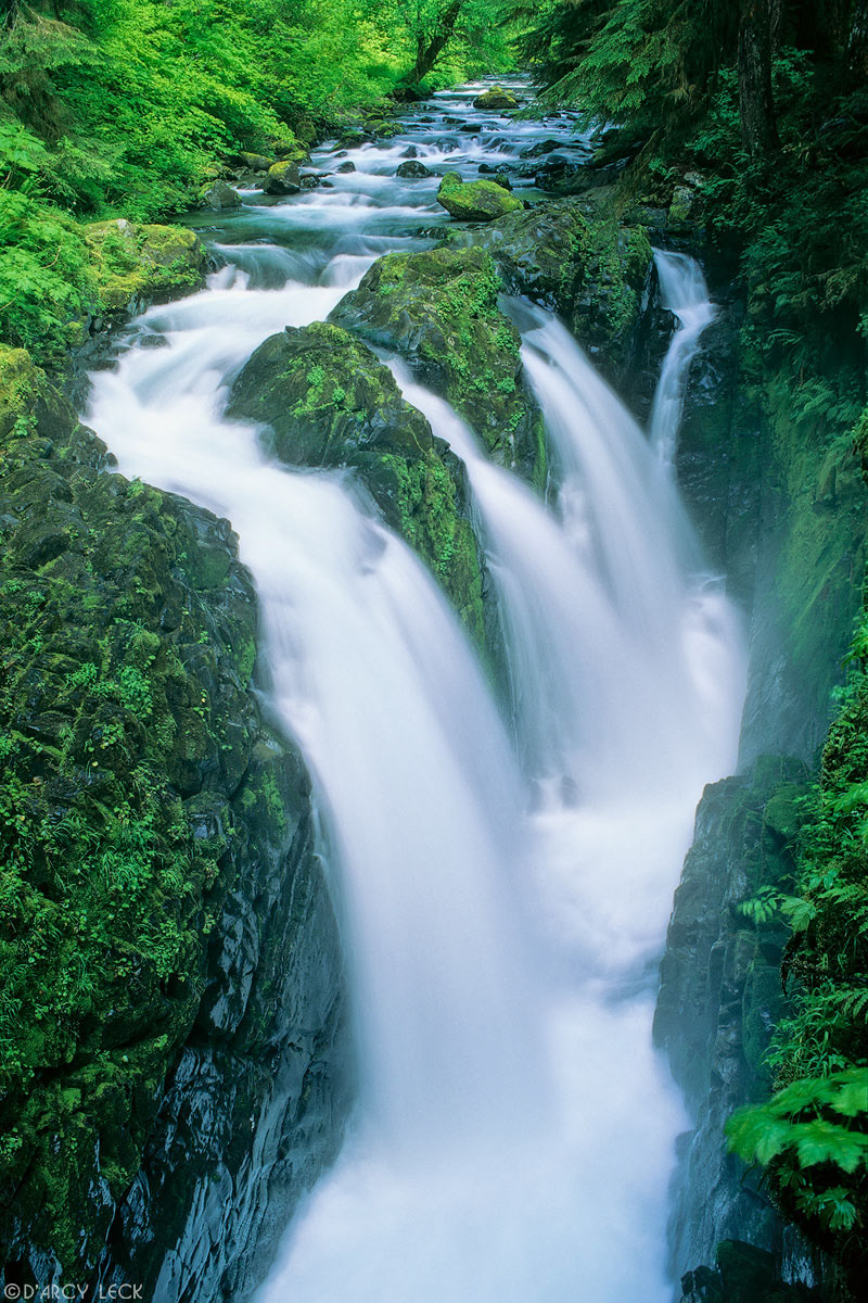 Soleduck Falls along the Soleduck River, Washington