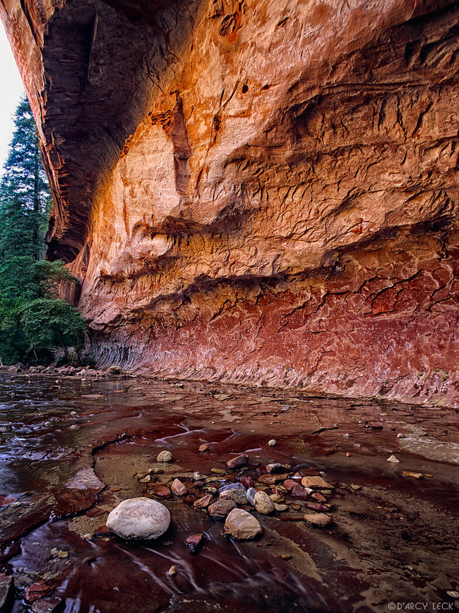 West Fork Oak Creek flows past cliff wall, Arizona