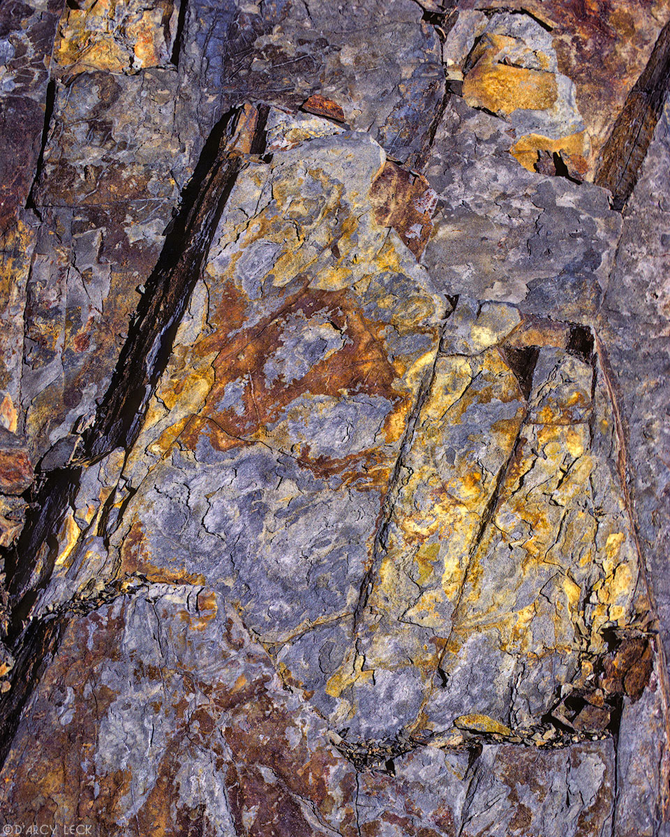 Scaling gray and gold colored shale rock, Great Smokey Mountains National Park