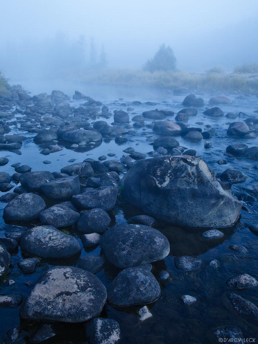 Early morning fog enshrouds the hills and forest along the rocky Colorado River, Colorado