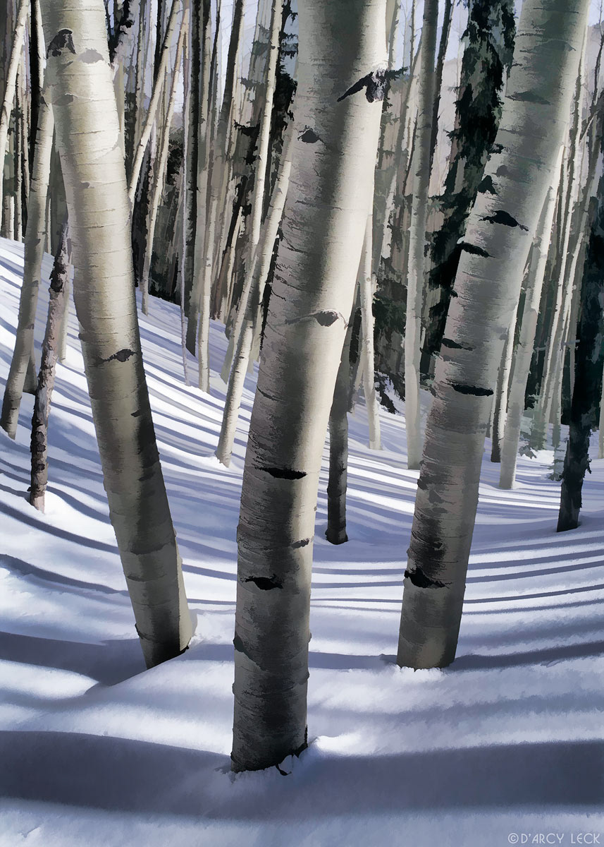 Aspen tree trunks in snow, Sangre de Cristo Mountains, Santa Fe National Forest, New Mexico