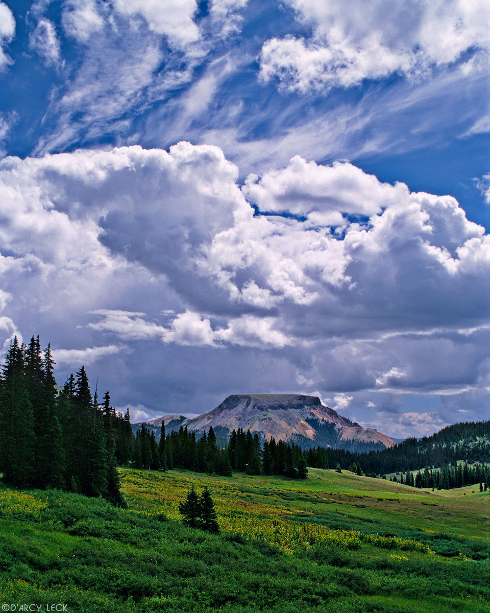Mountain meadow and Prospect Mountain in the San Juan Mountains, Colorado, USA