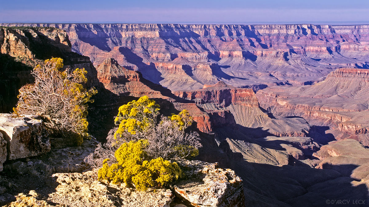 Looking into the Grand Canyon from Cape Royal, Grand Canyon National Park, Arizona