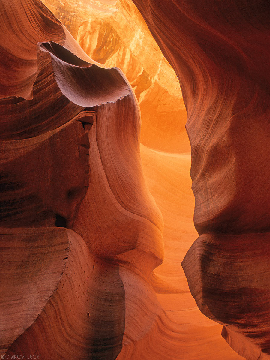 Water-sculpted slot canyon sandstone walls, Lower Antelope Canyon, Arizona