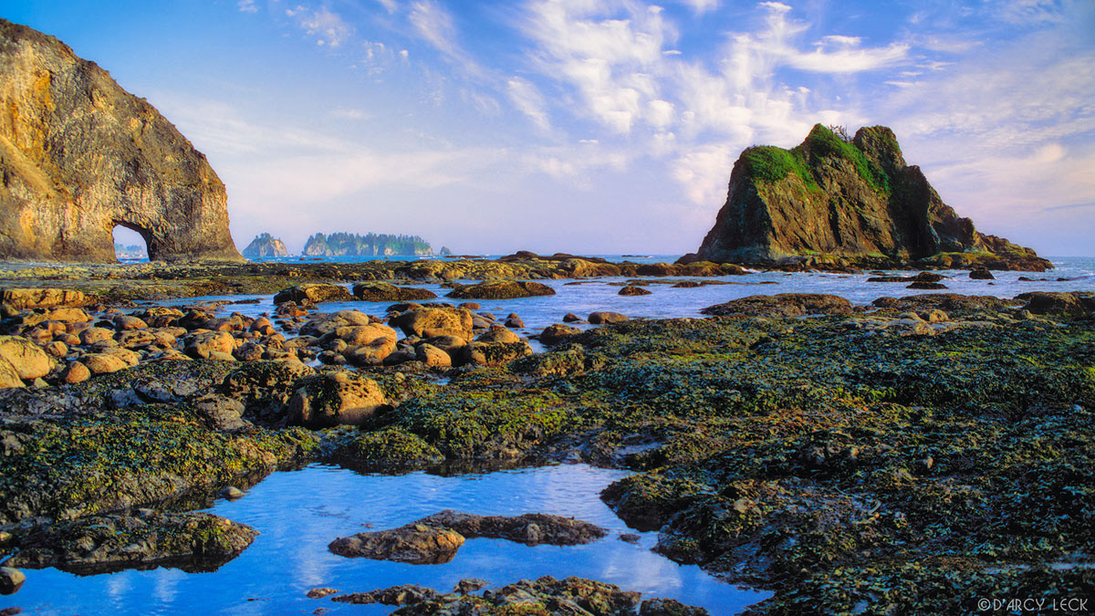 Tide pools, sea stacks, and Hole in the Wall at Rialto Beach, Washington