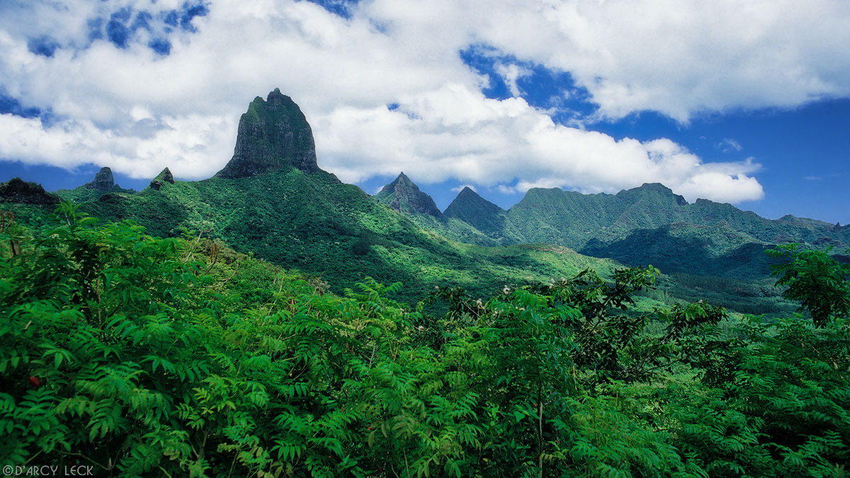 Verdant tropical flora covers the valleys and Mount Mouarou, from Belvedere Lookout, Moorea, French Polynesia