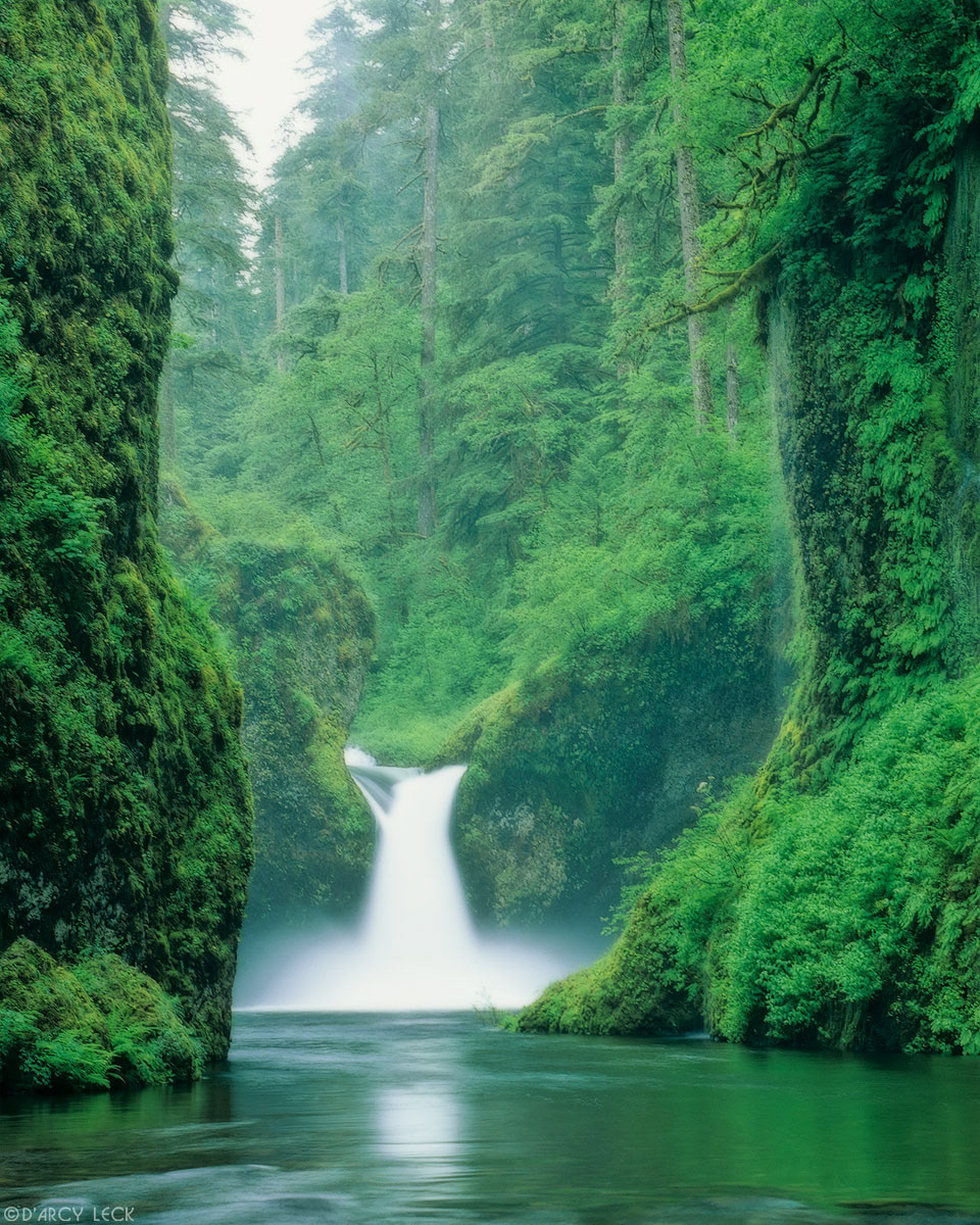 Punch bowl falls along Eagle Creek, Oregon