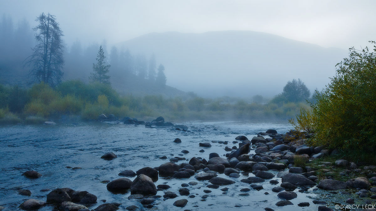 Early morning fog enshrouds the hills and forest along the rocky Colorado River, Colorado