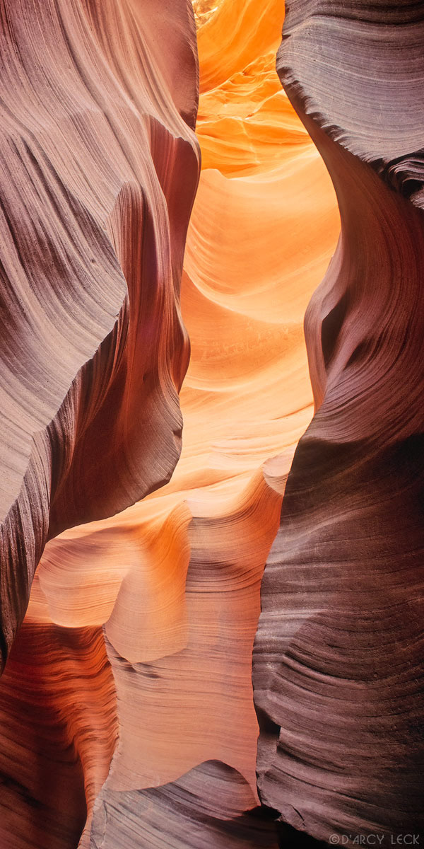 Water-sculpted slot canyon sandstone walls, Lower Antelope Canyon, Arizona