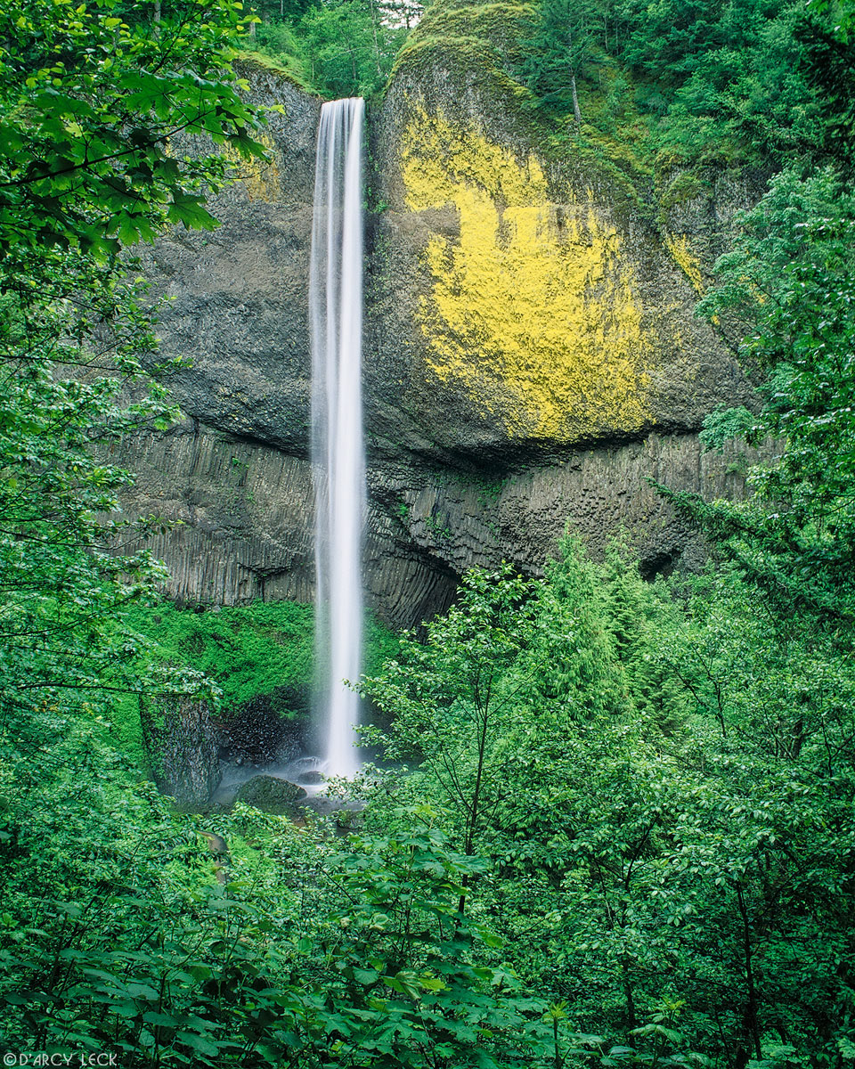 Lataurell Falls along the Columbia River Gorge Oregon