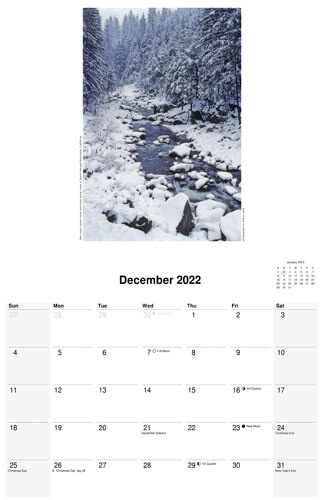 Nature Calendar, December 2022 by photographer D'Arcy Leck