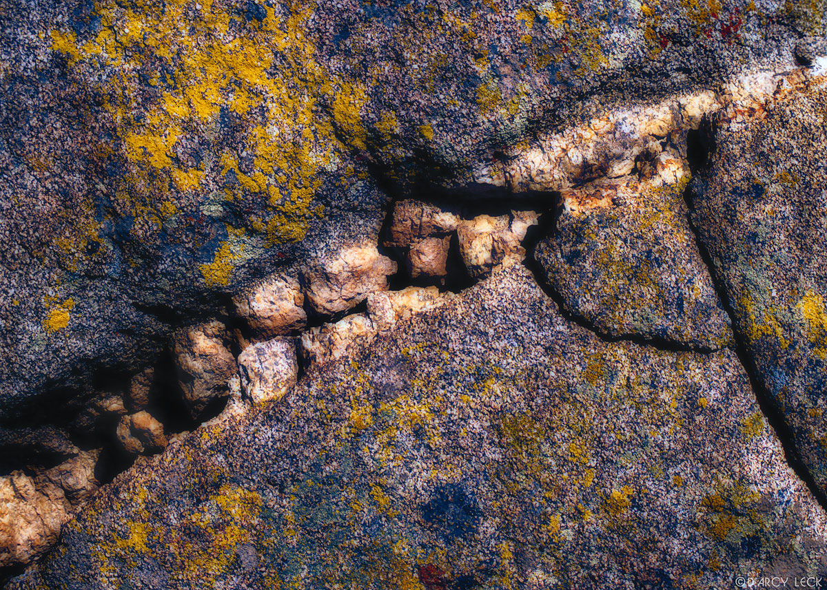 Cracks in rock covered with yellow and blue lichen