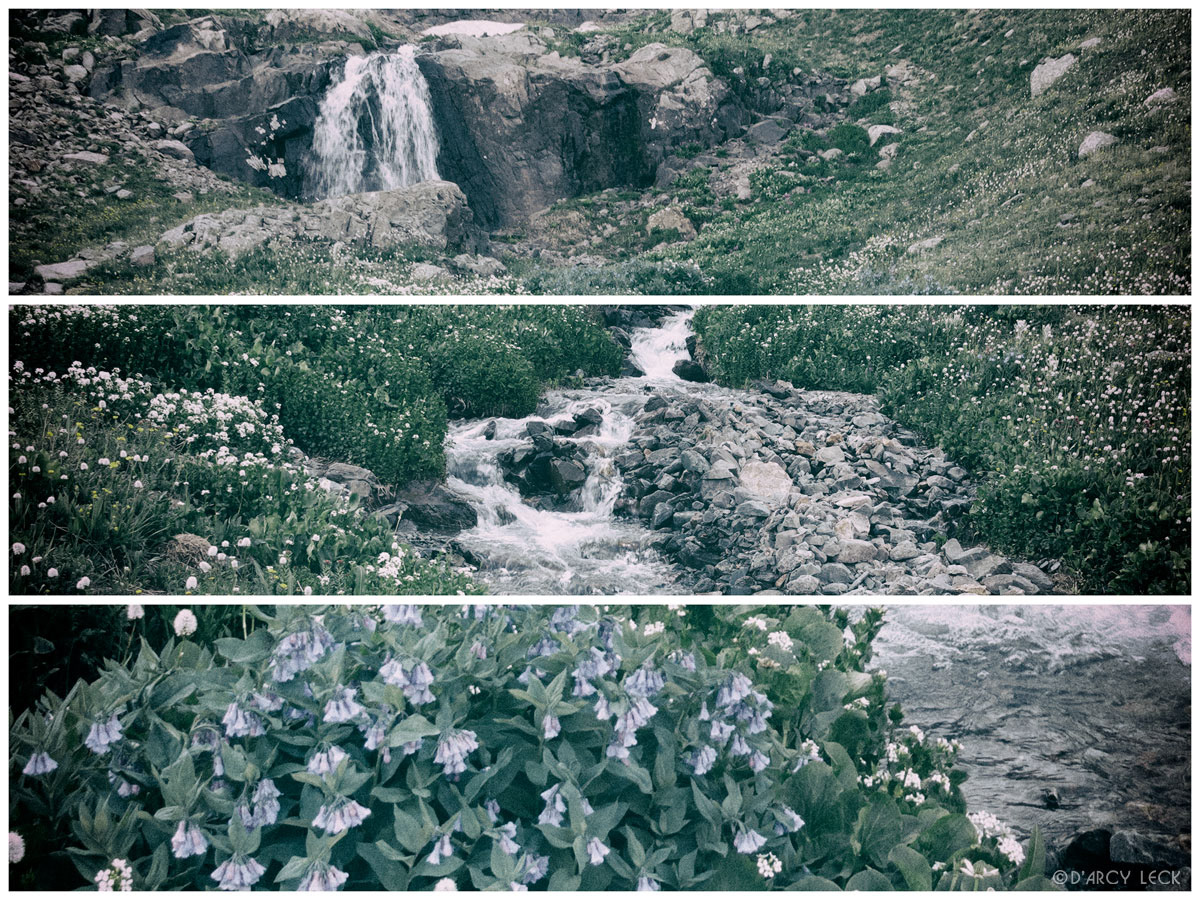 Waterfall and stream tumble through alpine wildflowers in American Basin in July, Colorado