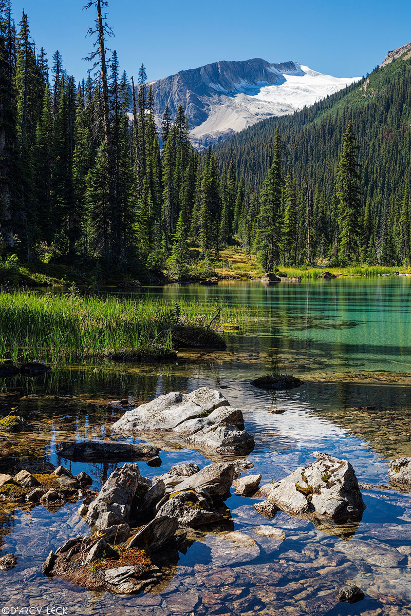 Forest and mountains surround tiny Celeste Lake in the Yoho River Valley in Yoho National Park, British Columbia, Canada
