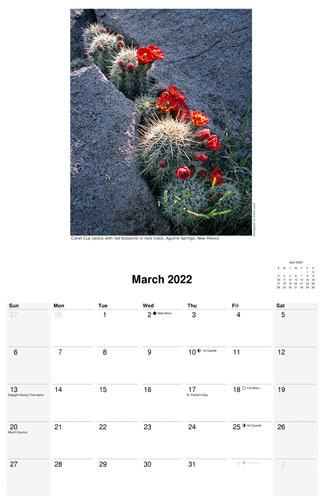 Nature Calendar, March 2022 by photographer D'Arcy Leck